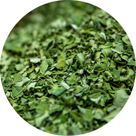 Moringa Vegetable Oil